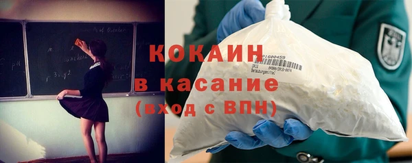 дживик Алексин