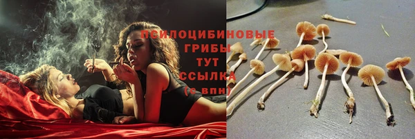 MESCALINE Абаза